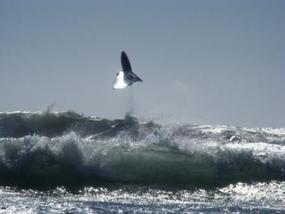 big jump