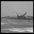 Fotos en Ritoque