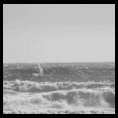 Ritoque 5 Agosto 2008, día gigante con vela 6.5