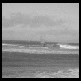 Santo Domingo Enero 2008