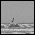Ritoque 19 Octubre 2009