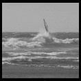 Ritoque 19 Octubre 2009