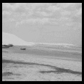 Paseo a Jericoacoara, Nov-Dic 2009