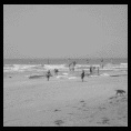 Paseo a Jericoacoara, Nov-Dic 2009