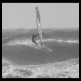 surf