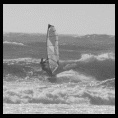 surf