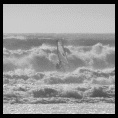 surf