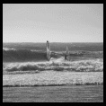 Jueves 5 de Abril 2012, Ritoque big swell