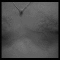 corte con quilla en dos pectorales... si no es por el traje... uffff