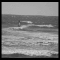 Fotos Sesiones en Ritoque Nov 2015