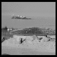 Punta de Choros