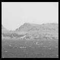 Punta de Choros
