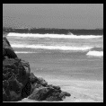 Punta de Choros