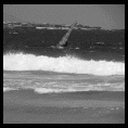 Punta de Choros