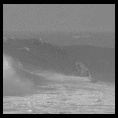 Marcelo Bofarull, Pichilemu