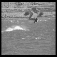 CONCURSO DE FOTOGRAFÍA WINDMASTER.CL "MI MEJOR FOTO HACIENDO WINDSURF"