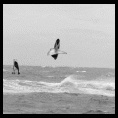 Cristian Burr, Pupuya. Es una tomada por Constantino Cruz al dia siguiente del Classic Wave 2014. Fue un dia parcial, frio, con mucho viento y buenas olas para saltar.