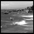 Playa Amarilla 30-1-2005